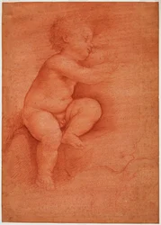 Study of Putto (Baby Jesus)